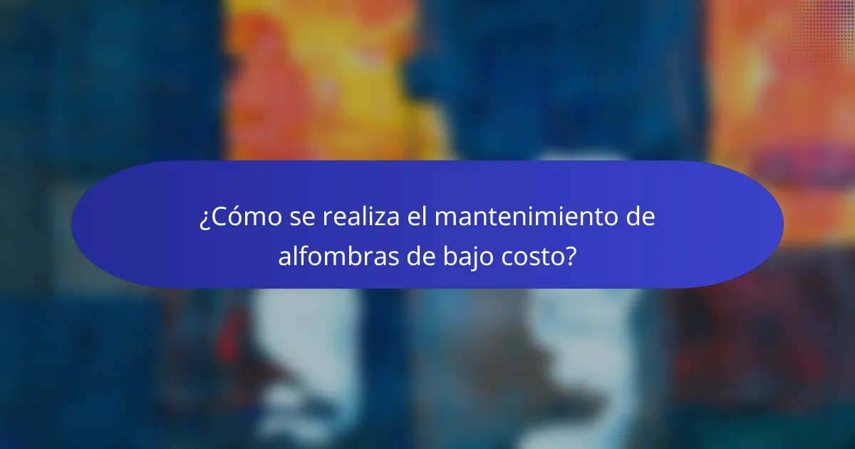 ¿Cómo se realiza el mantenimiento de alfombras de bajo costo?