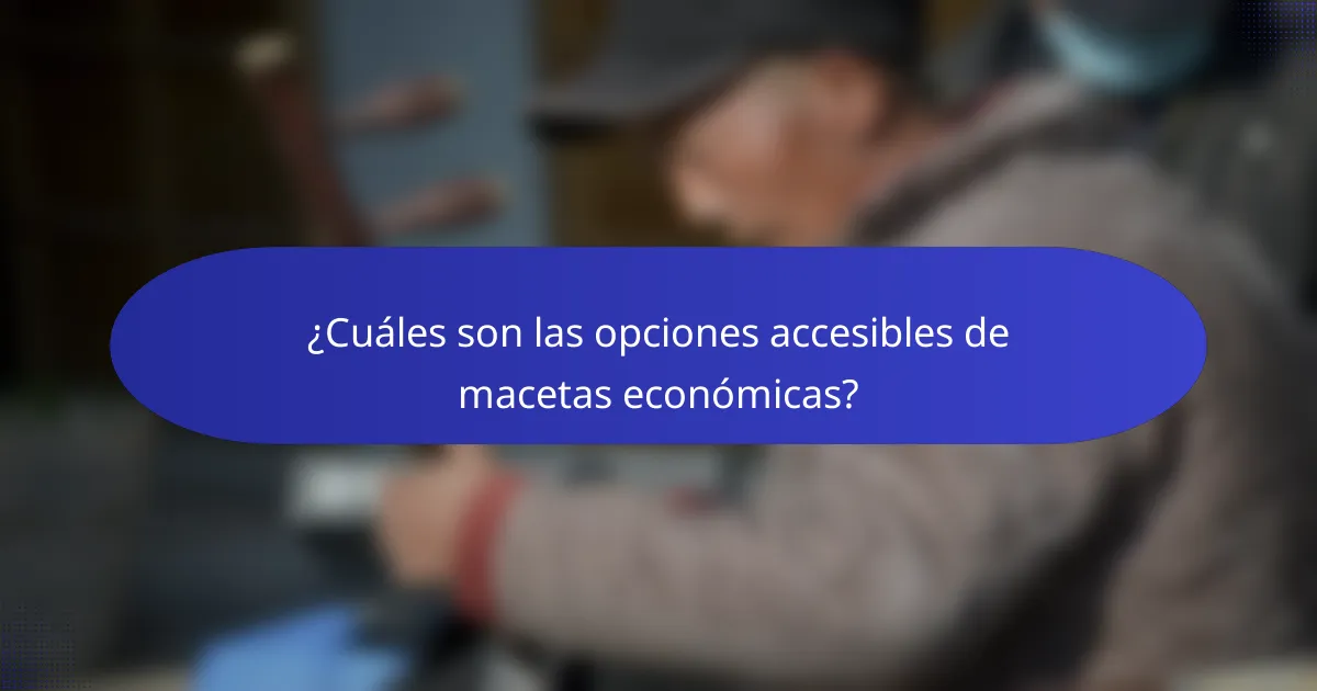 ¿Cuáles son las opciones accesibles de macetas económicas?