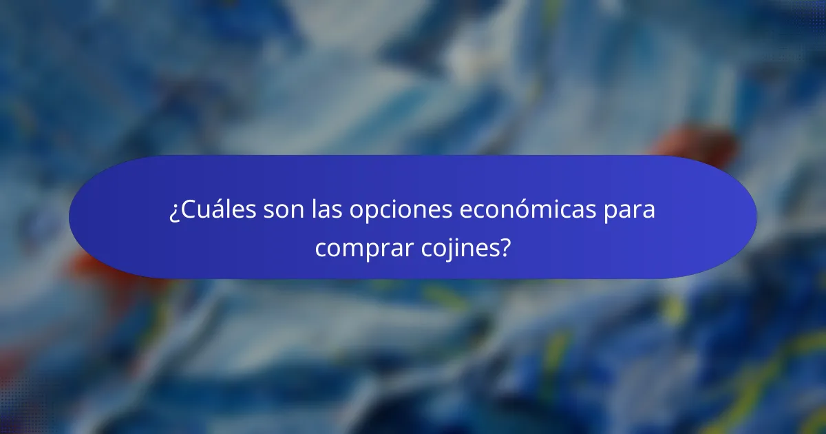 ¿Cuáles son las opciones económicas para comprar cojines?