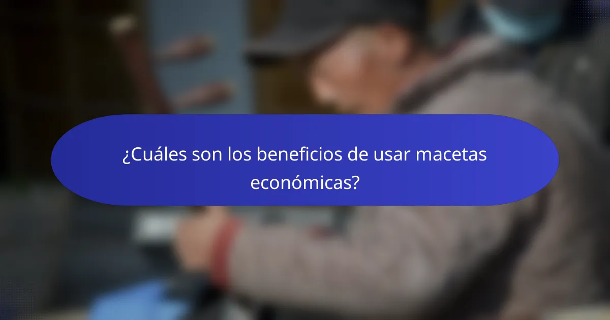 ¿Cuáles son los beneficios de usar macetas económicas?
