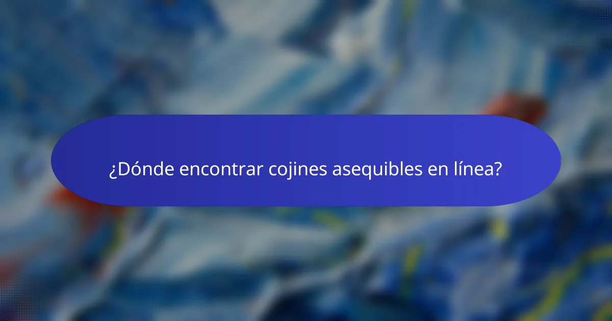 ¿Dónde encontrar cojines asequibles en línea?