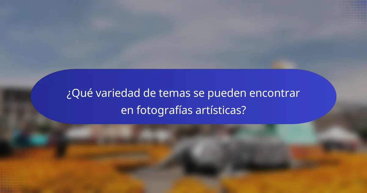¿Qué variedad de temas se pueden encontrar en fotografías artísticas?
